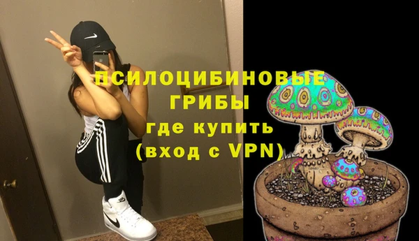СК Липки