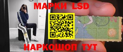 индика Камышлов