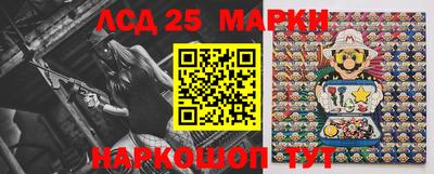 индика Камышлов