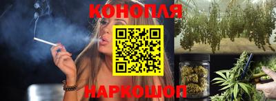 индика Камышлов