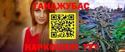 индика Камышлов