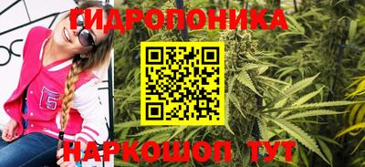 стаф Канаш