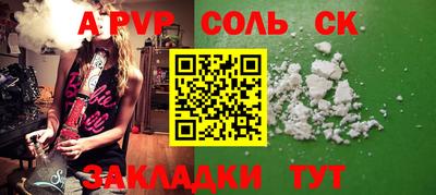 индика Камышлов