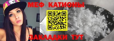 индика Камышлов