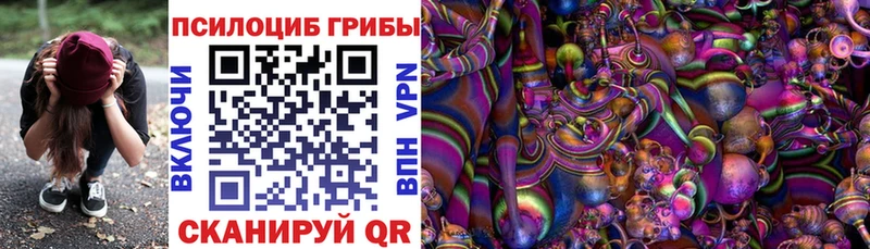 Галлюциногенные грибы мухоморы  закладки  Чайковский 