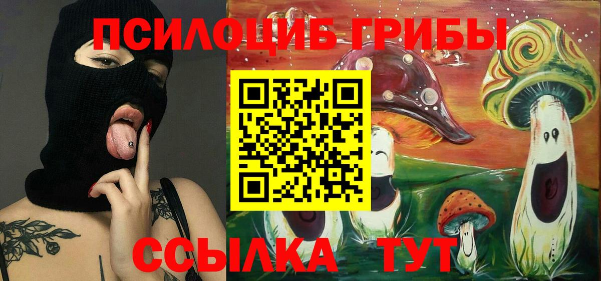 Псилоцибиновые грибы MAGIC MUSHROOMS  купить наркоту  Чайковский 