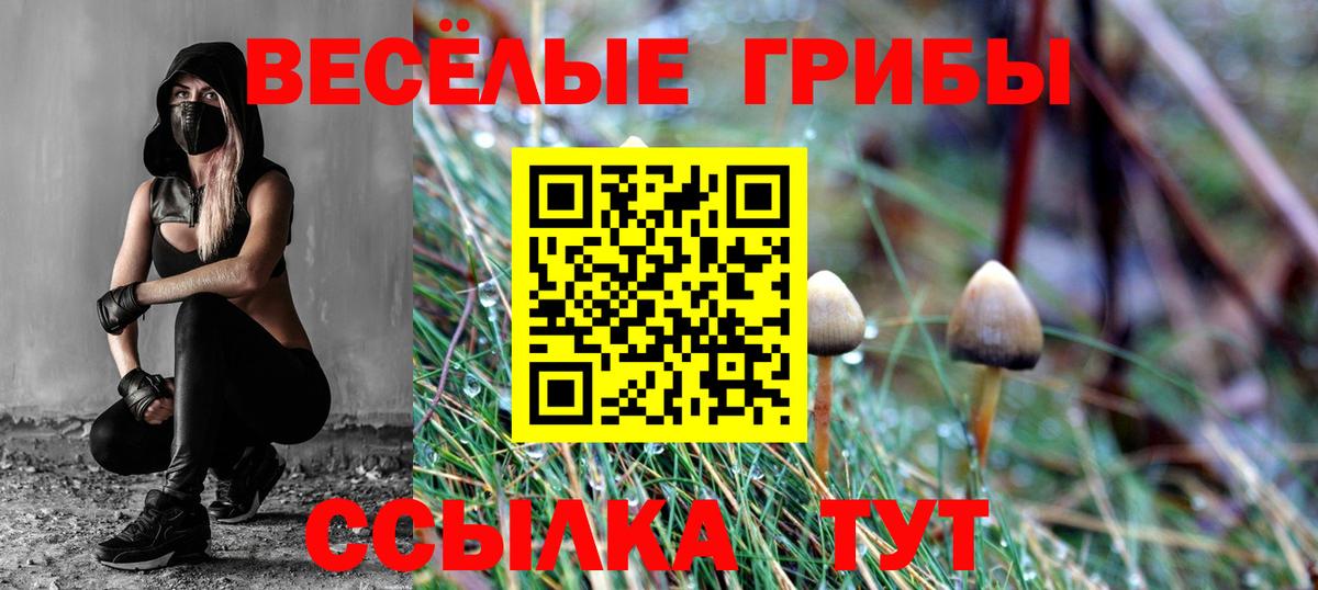 Галлюциногенные грибы мухоморы Чайковский