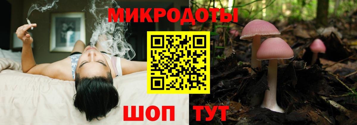 Чайковский  Галлюциногенные грибы Psilocybe  Вход с VPN  Галлюциногенные грибы мухоморы 